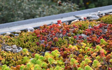 the cost of Dunhampstead green roof installation