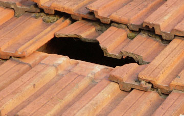 roof repair Dunhampstead, Worcestershire